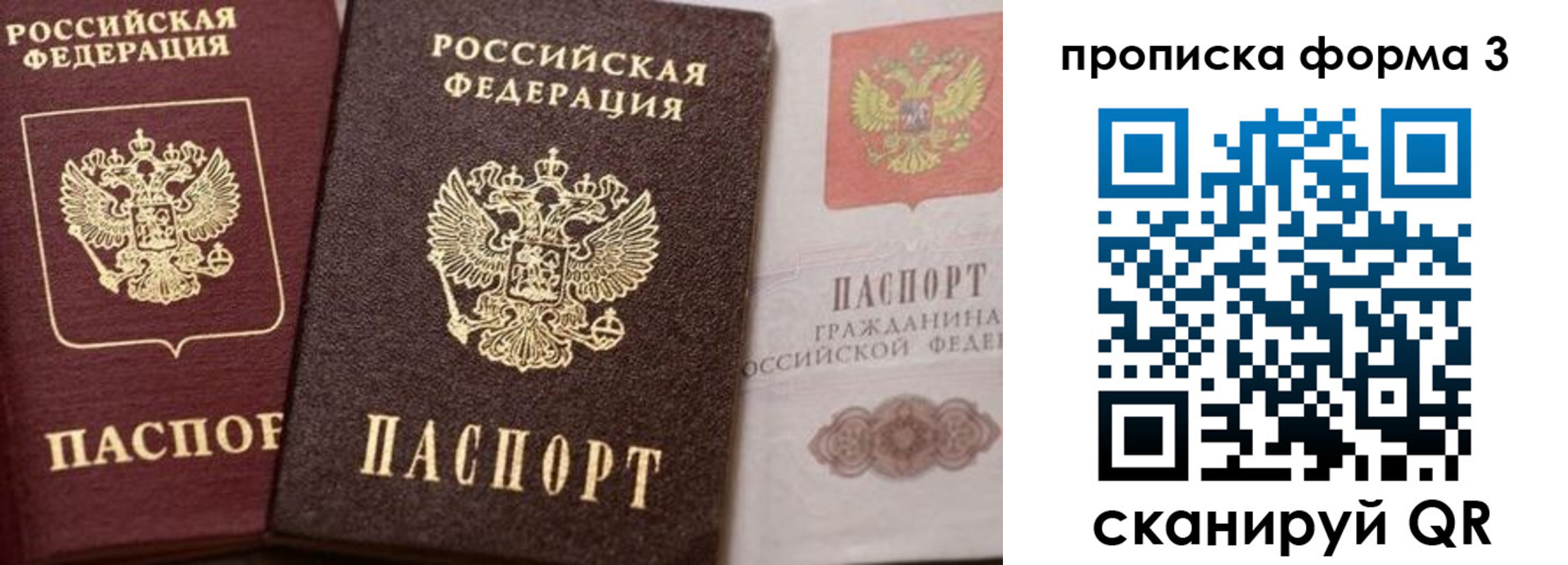 прописка гарантия в Каменск-Шахтинском